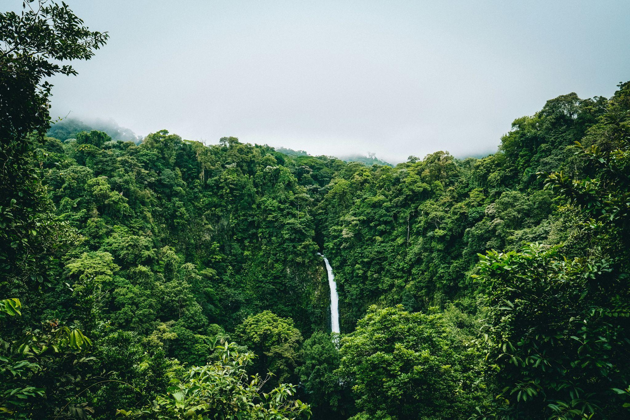 Foresta tropicale con una cascata tra le montagne
